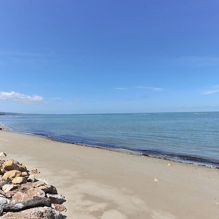 Twin Waters Lodge Коллингвуд Экстерьер фото
